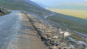 PICTURES/Mount Evans and The Highest Paved Road in N.A - Denver CO/t_Road Shot3.JPG